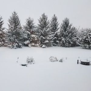 Meet your Posher, Jurgita